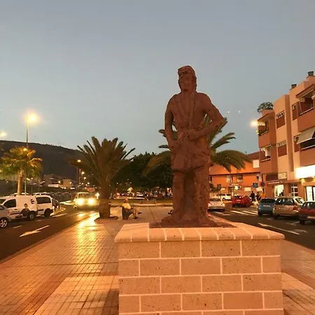 Geranios 1 *